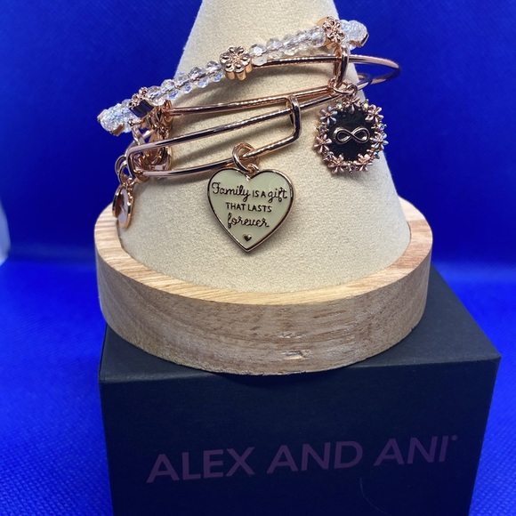 💕ALEX & ANI💕Family Is A Gift That Lasts Forever' Charm Bangle Bracelet Set/NWOT - Picture 4 of 10